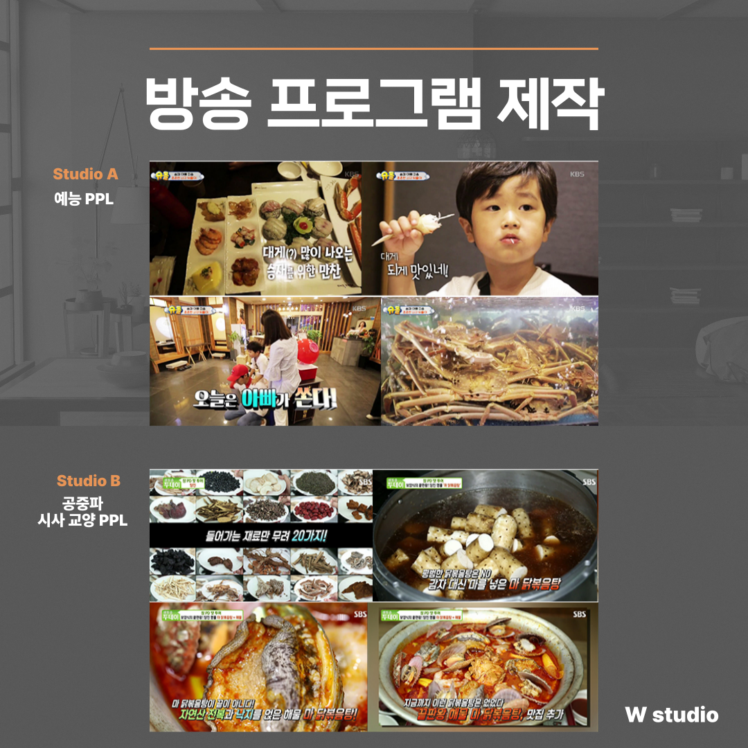 방송프로그램제작